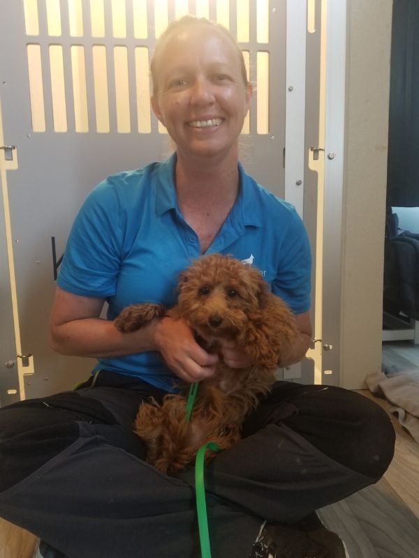 Dog Training Baltimore